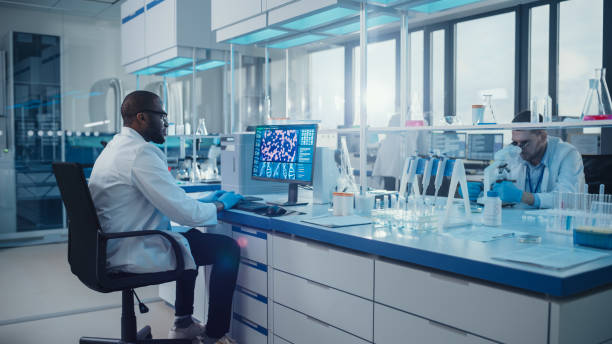 lab